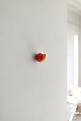 Image 10 of 24