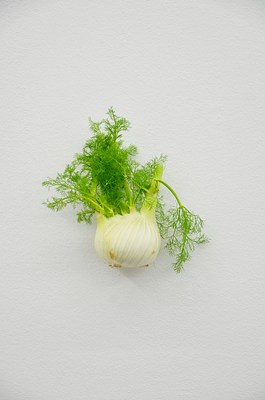 Image 16 of 24