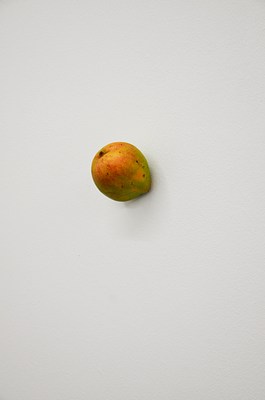 Image 17 of 24