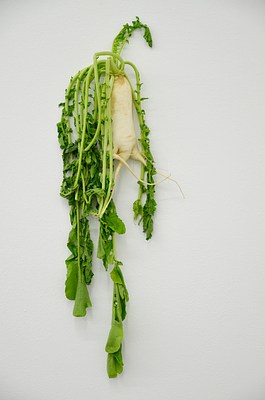 Image 18 of 24