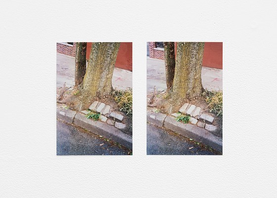 Image 13 of 44