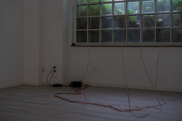 Image 4 of 36