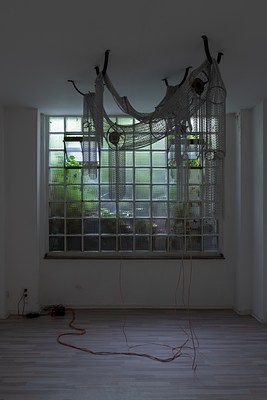 Image 3 of 36