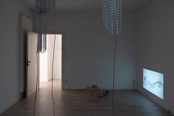 Image 8 of 36