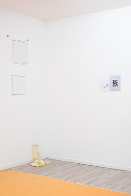 Image 15 of 30