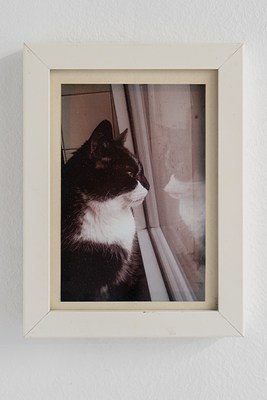 Image 20 of 56