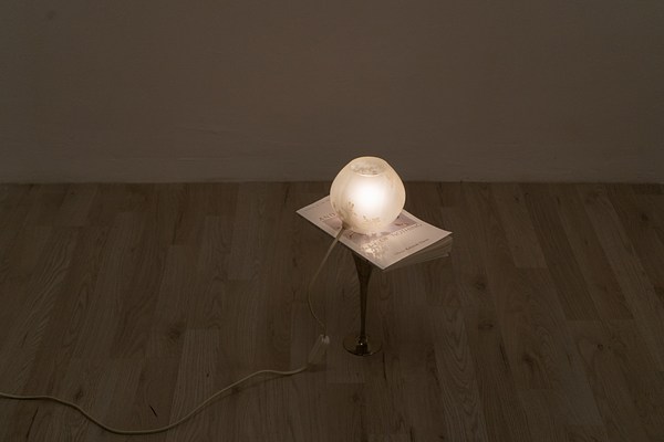 Image 11 of 60