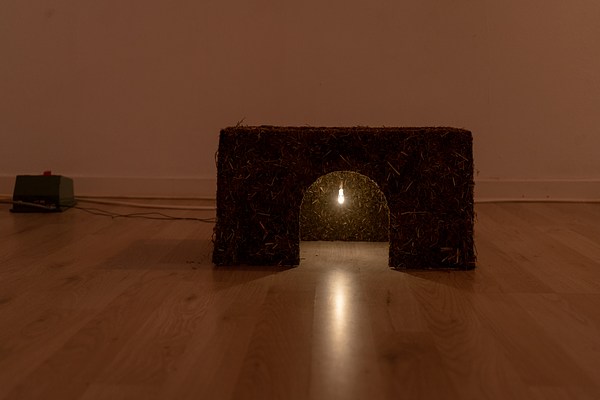 Image 16 of 60
