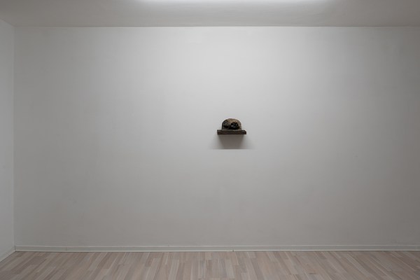 Image 2 of 31