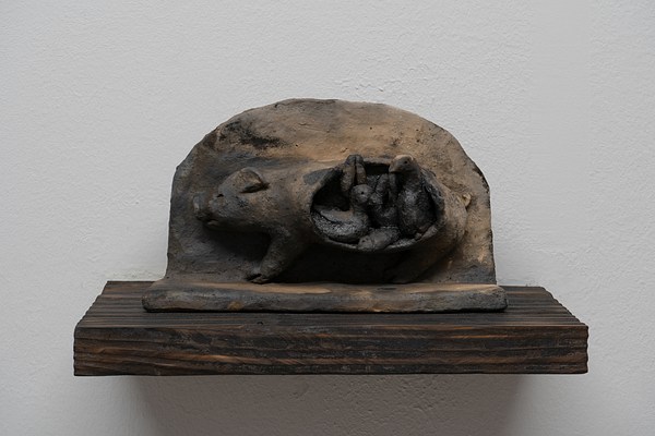 Image 3 of 31