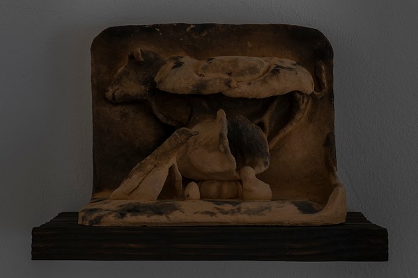 Image 8 of 31