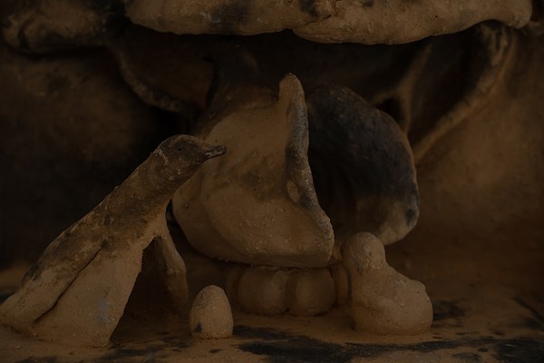 Image 10 of 31