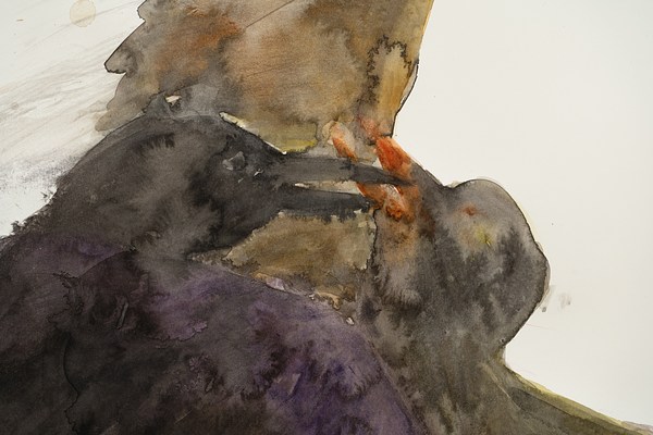 Image 27 of 31
