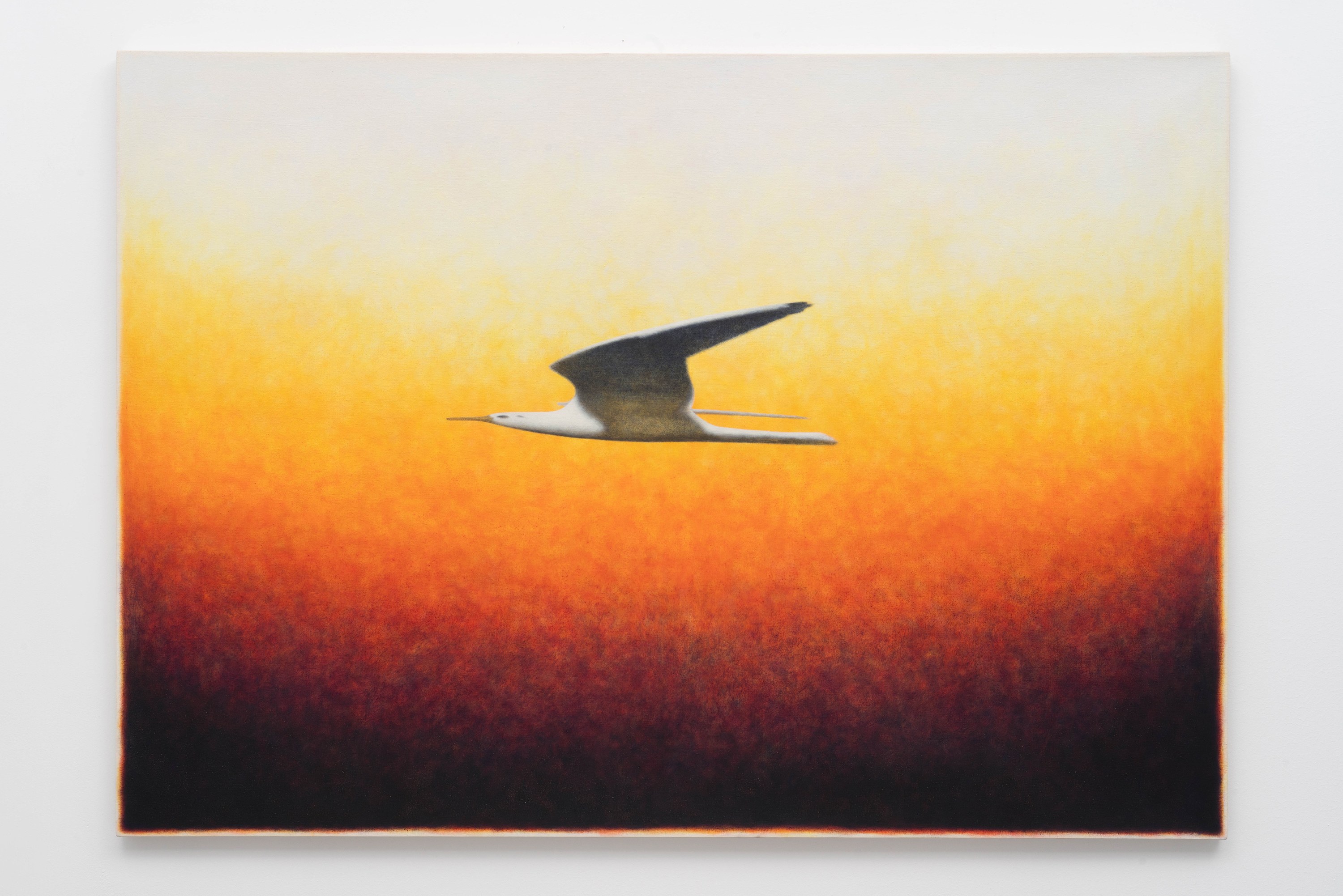 Installation view 6