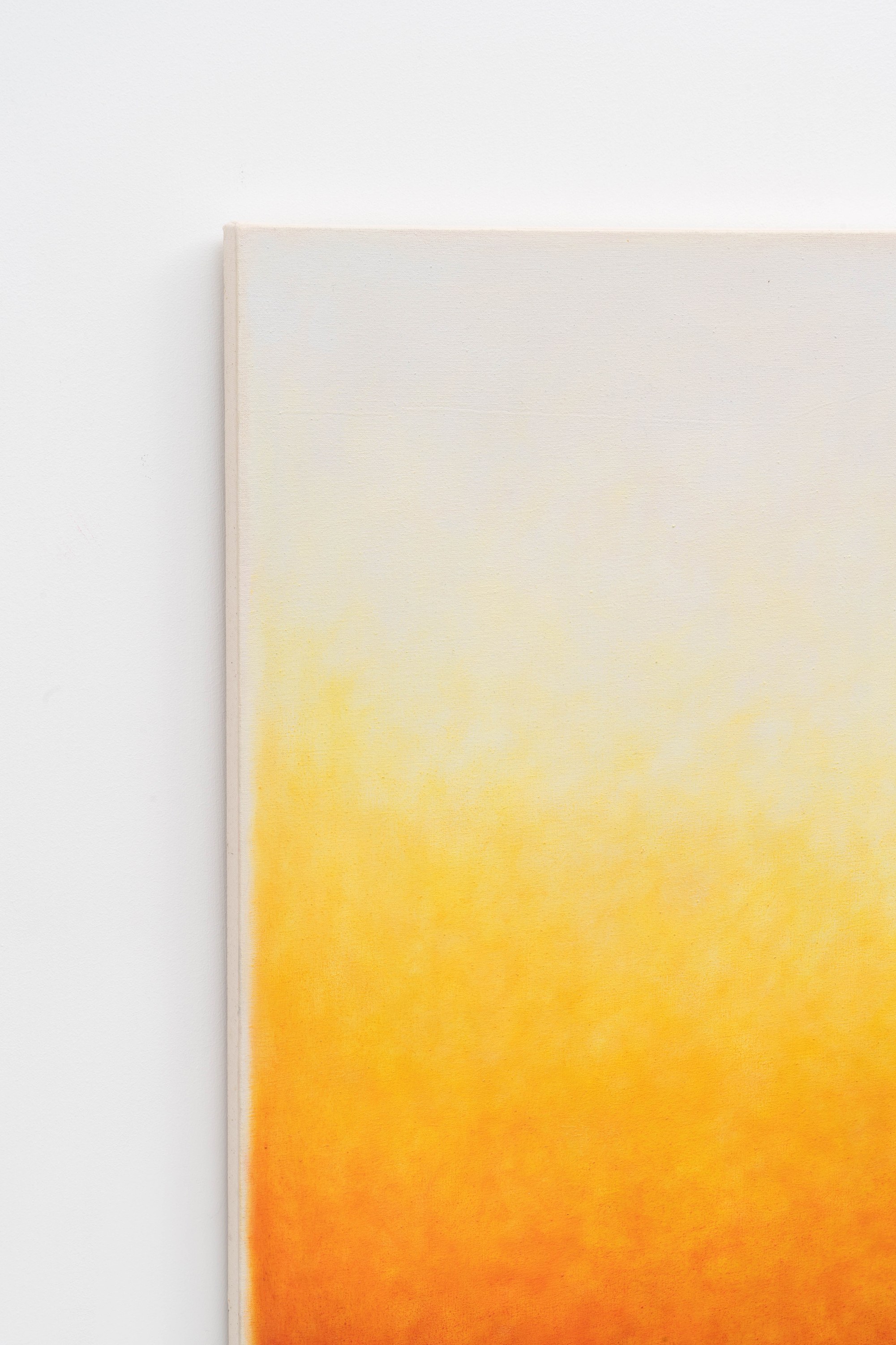 Installation view 8