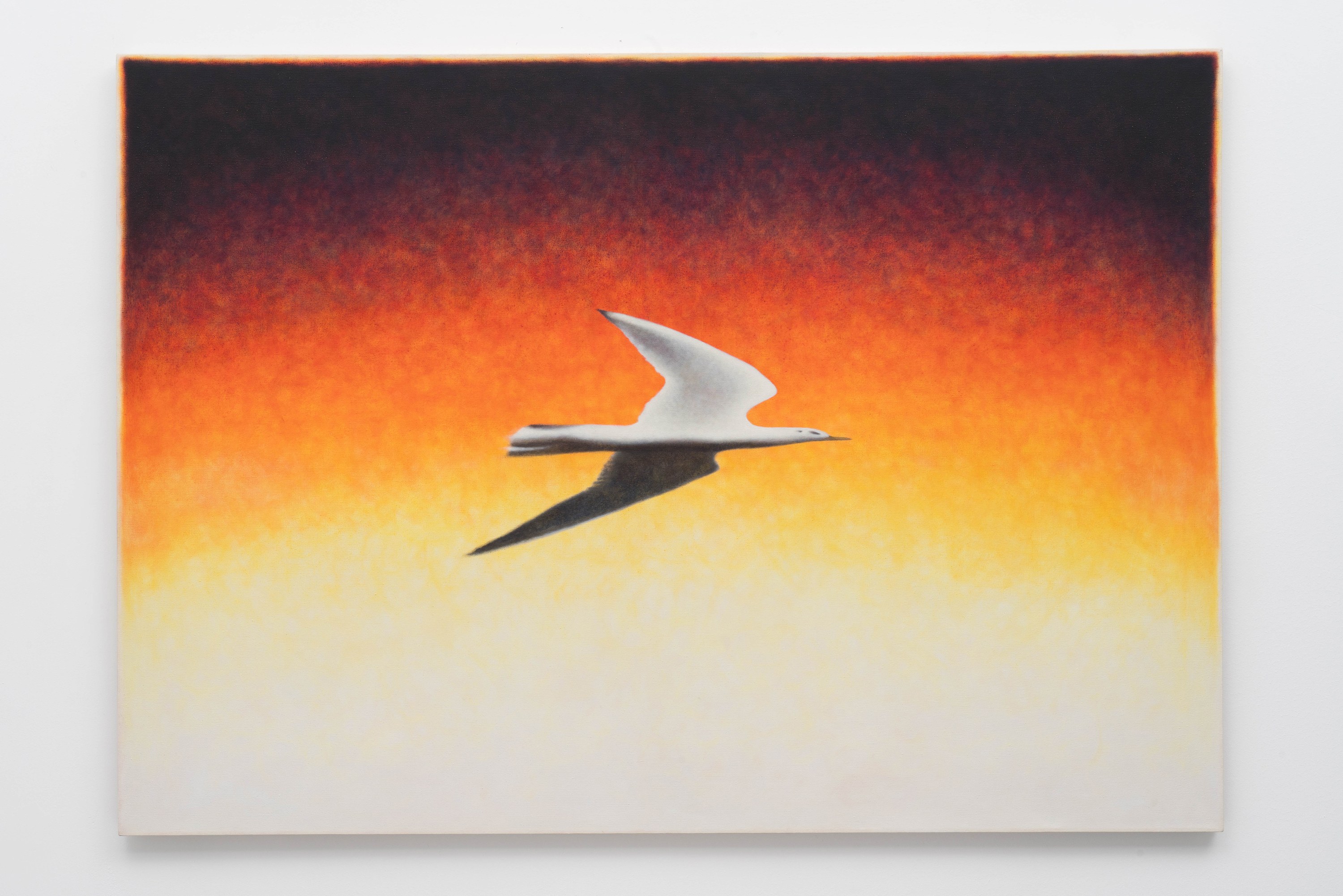 Installation view 10