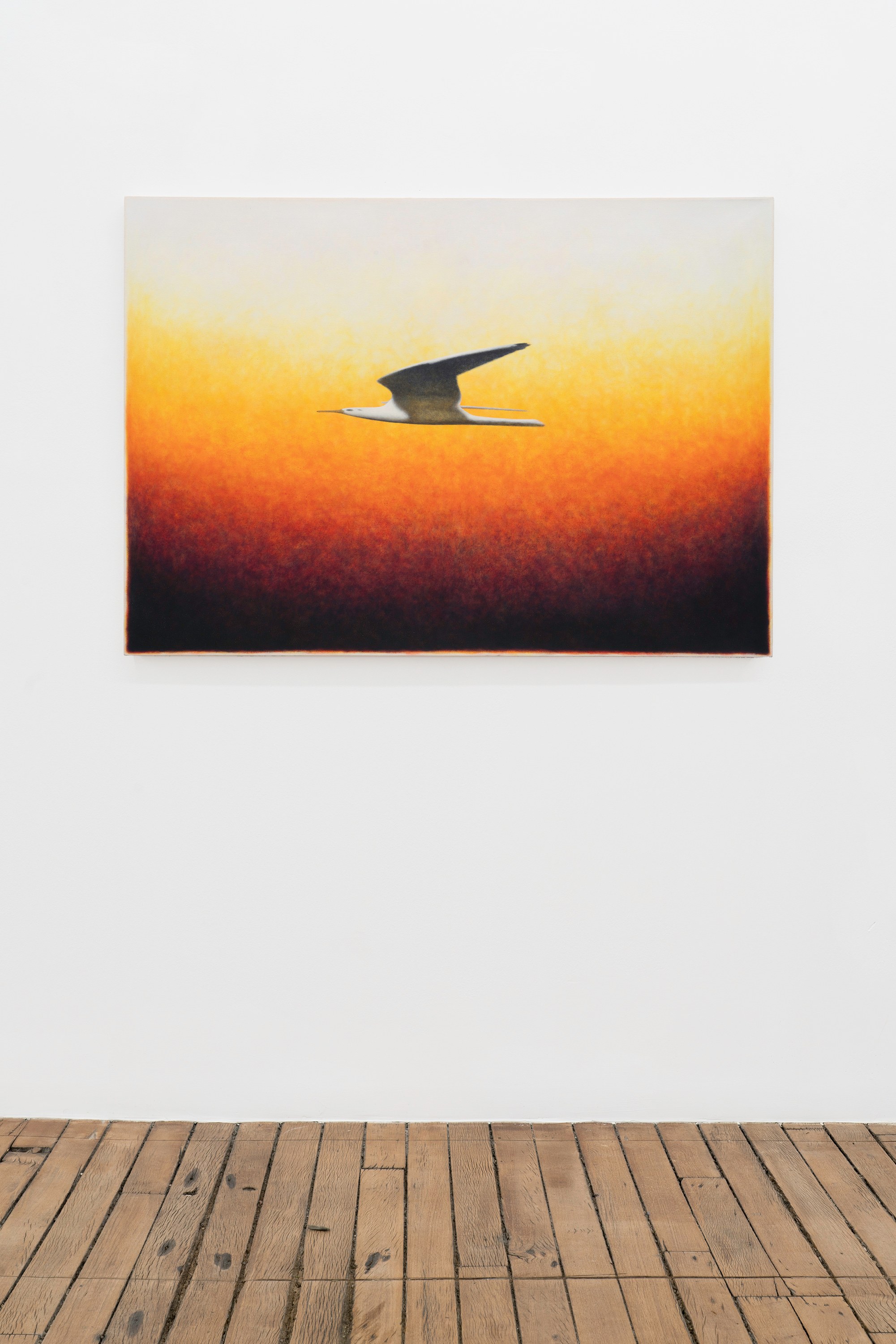 Installation view 9