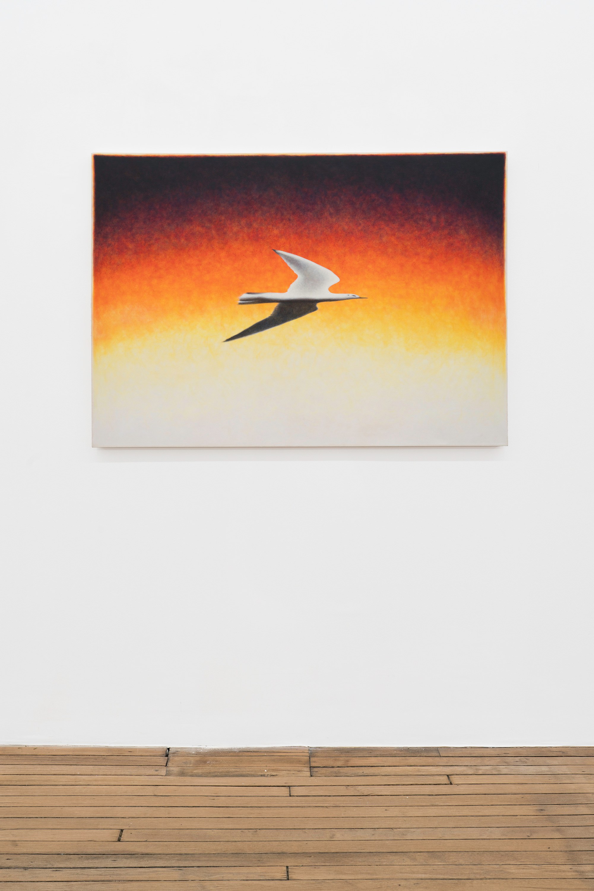 Ian Miyamura, They Learned to Look Up and Down at Bureau, photo 13