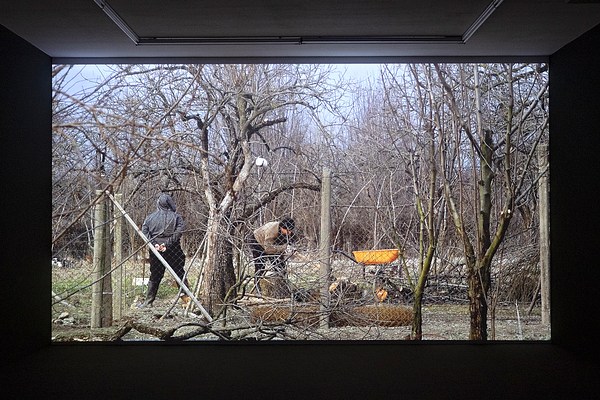 Image 4 of 8