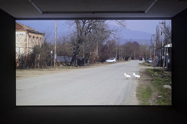Image 7 of 8