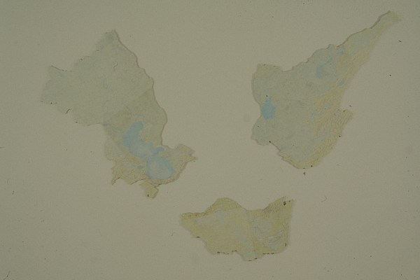 Image 8 of 13