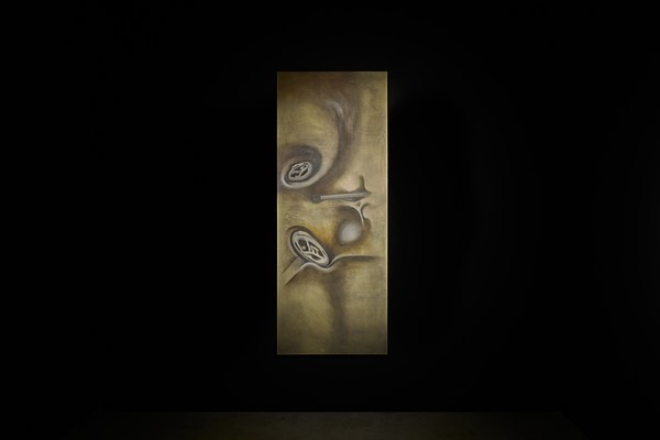 Image 8 of 25