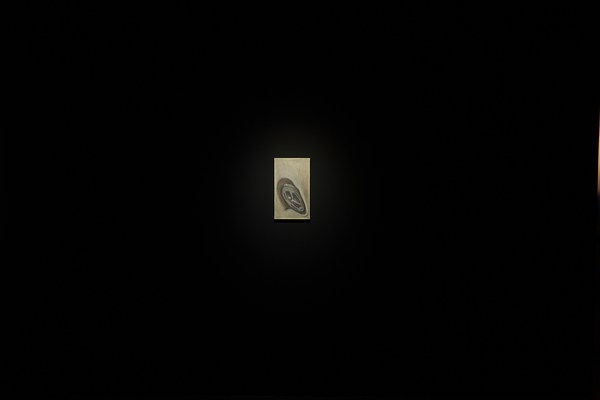 Image 10 of 25