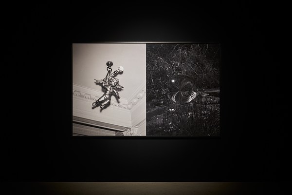 Image 12 of 25