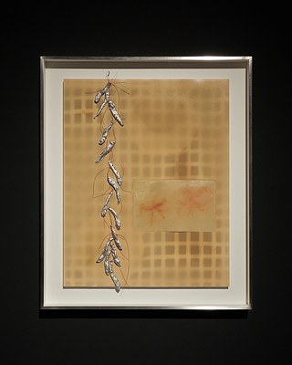 Image 19 of 25