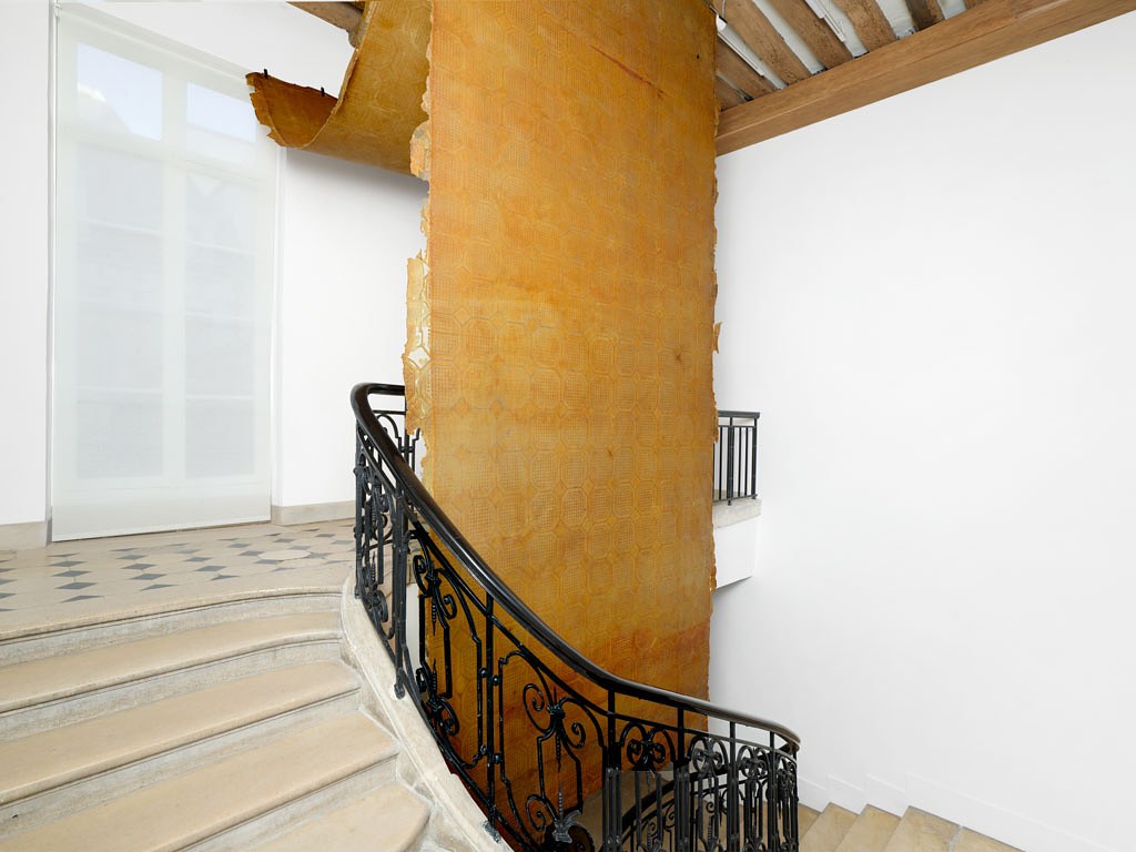 Heidi Bucher, La Rose de Paris at Mendes Wood DM, photo 7
