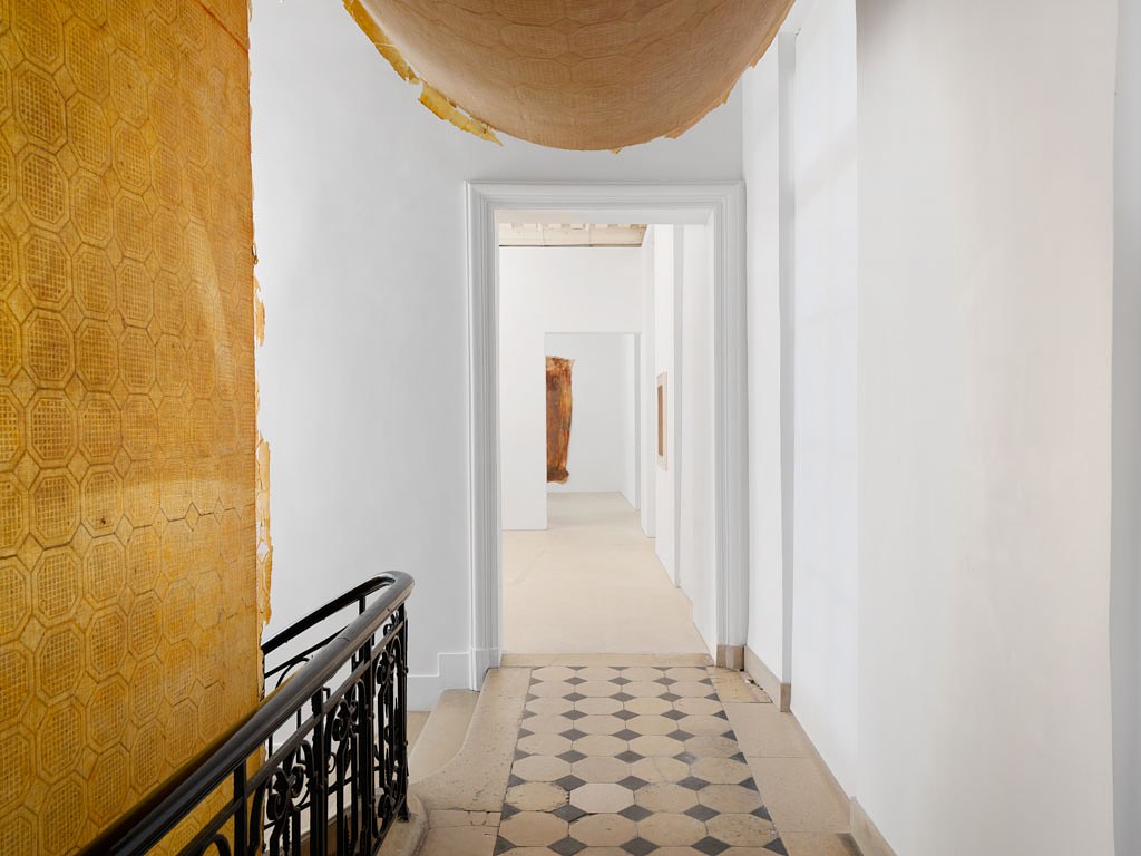 Heidi Bucher, La Rose de Paris at Mendes Wood DM, photo 10