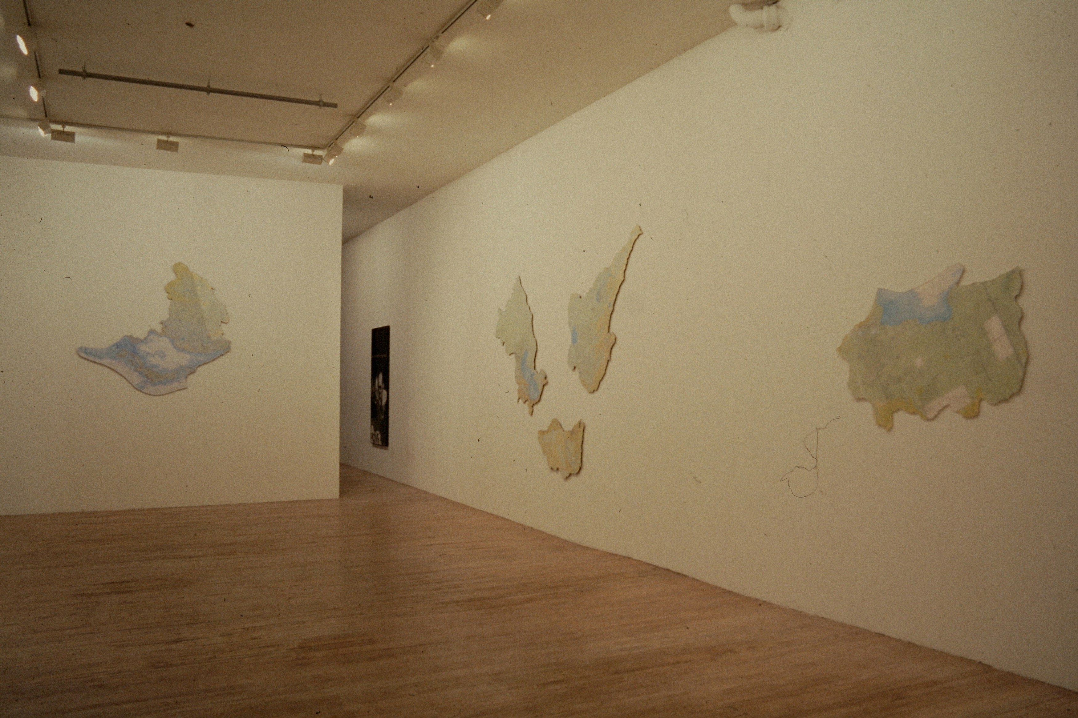 Peter Fend, <span style="font-family: courier, monospace; font-style: normal;">COMPLETION<br>OF THE WAR</span> at American Fine Arts, photo 3