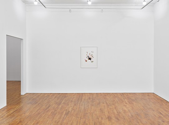Image 1 of 12