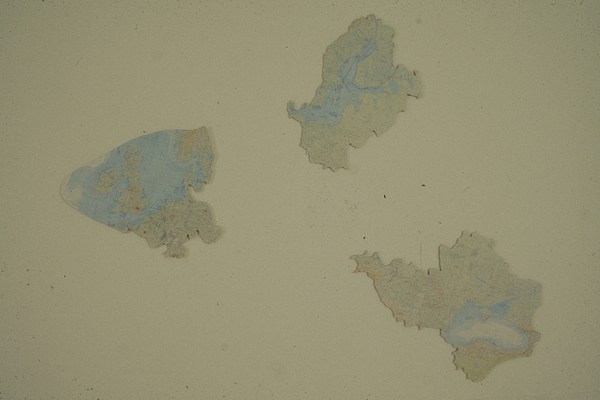 Image 9 of 13