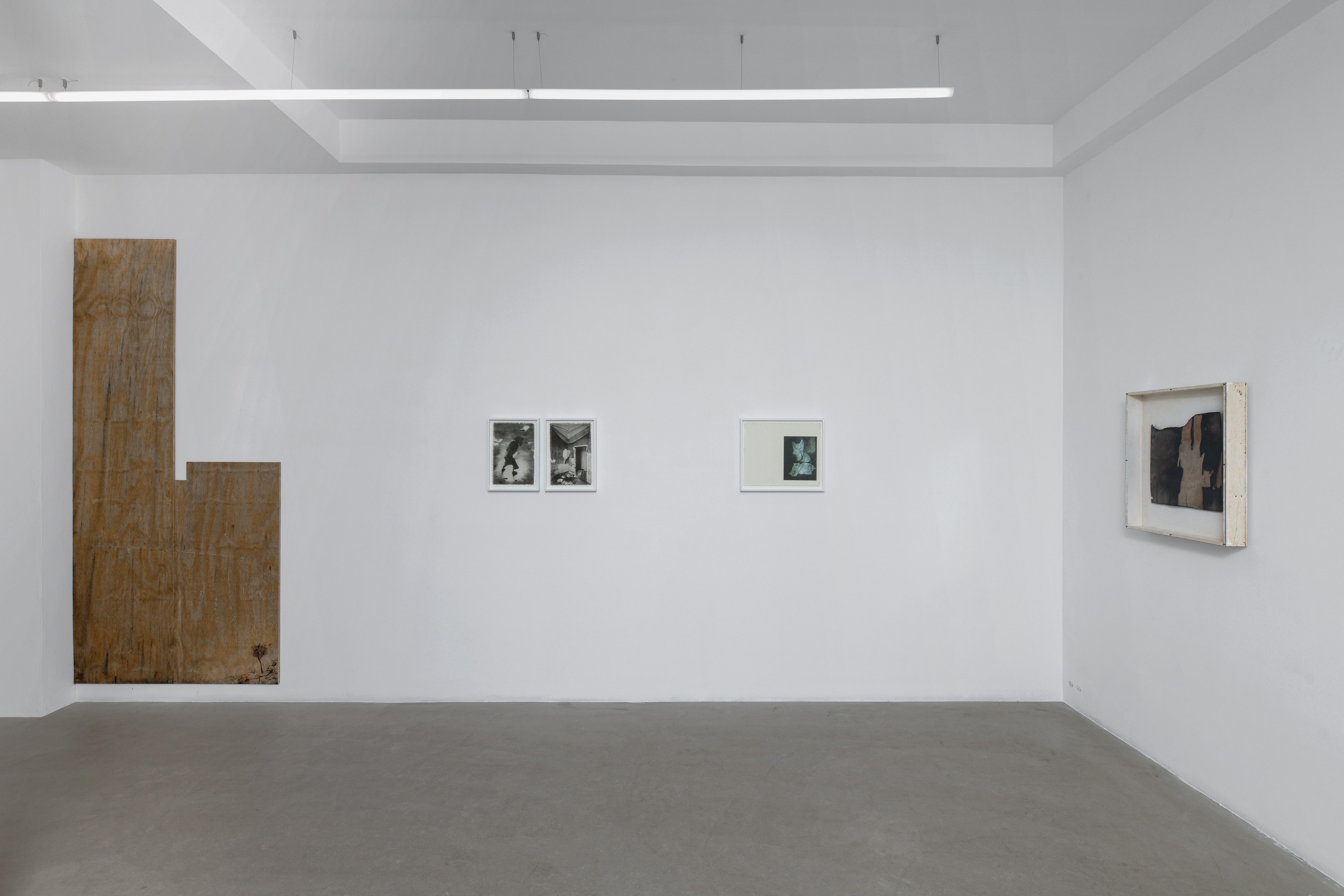 Rafik Greiss, image 7 of 26