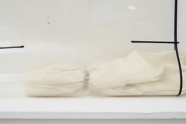 Image 15 of 50