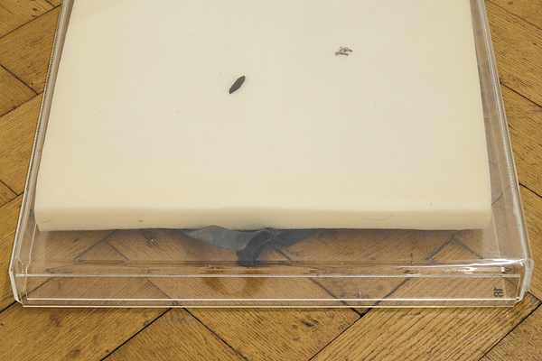 Image 30 of 50