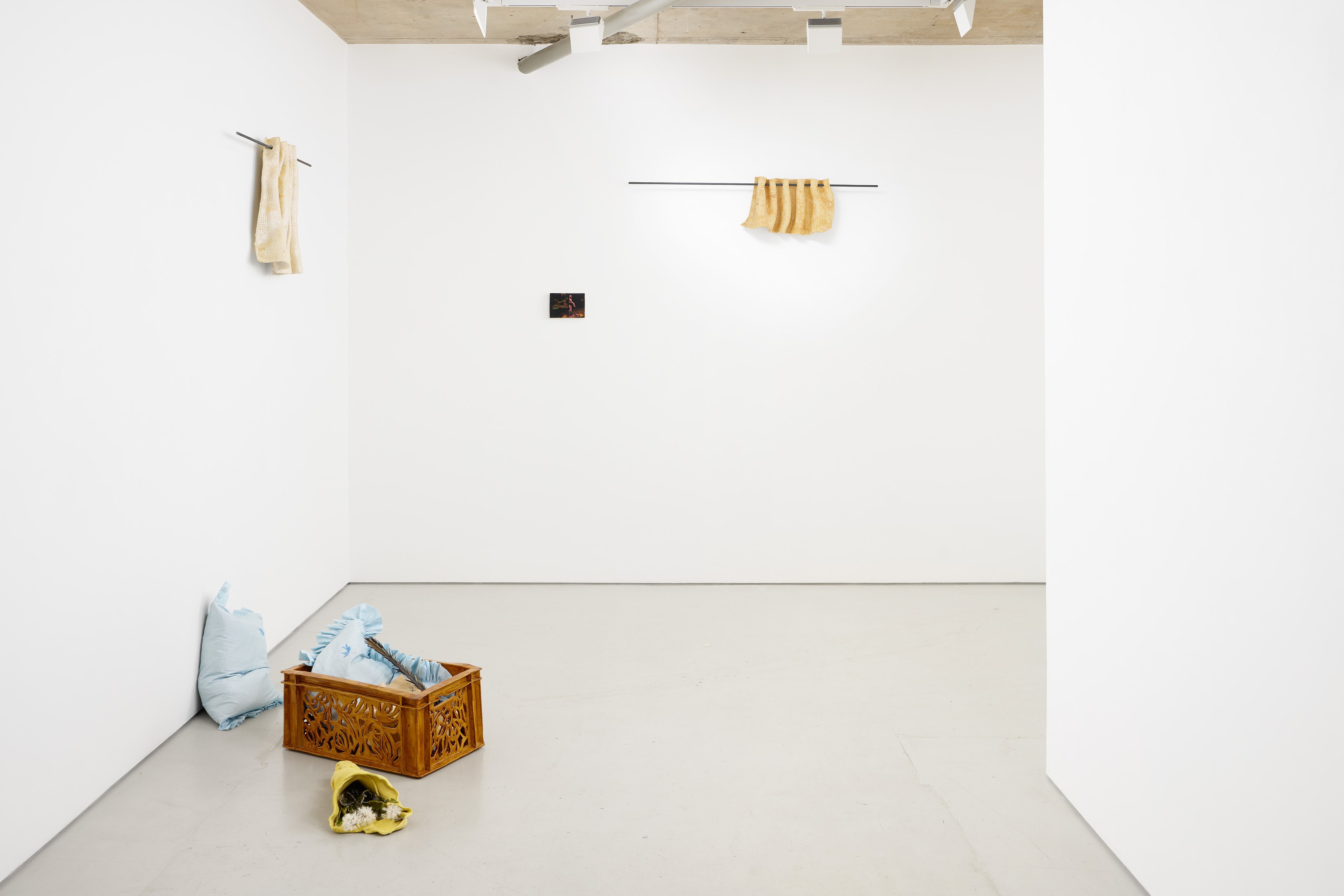 Rike Droescher, Listen, they left a sigh in the curtain at Alice Amati, photo 3
