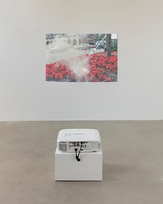 Image 10 of 73
