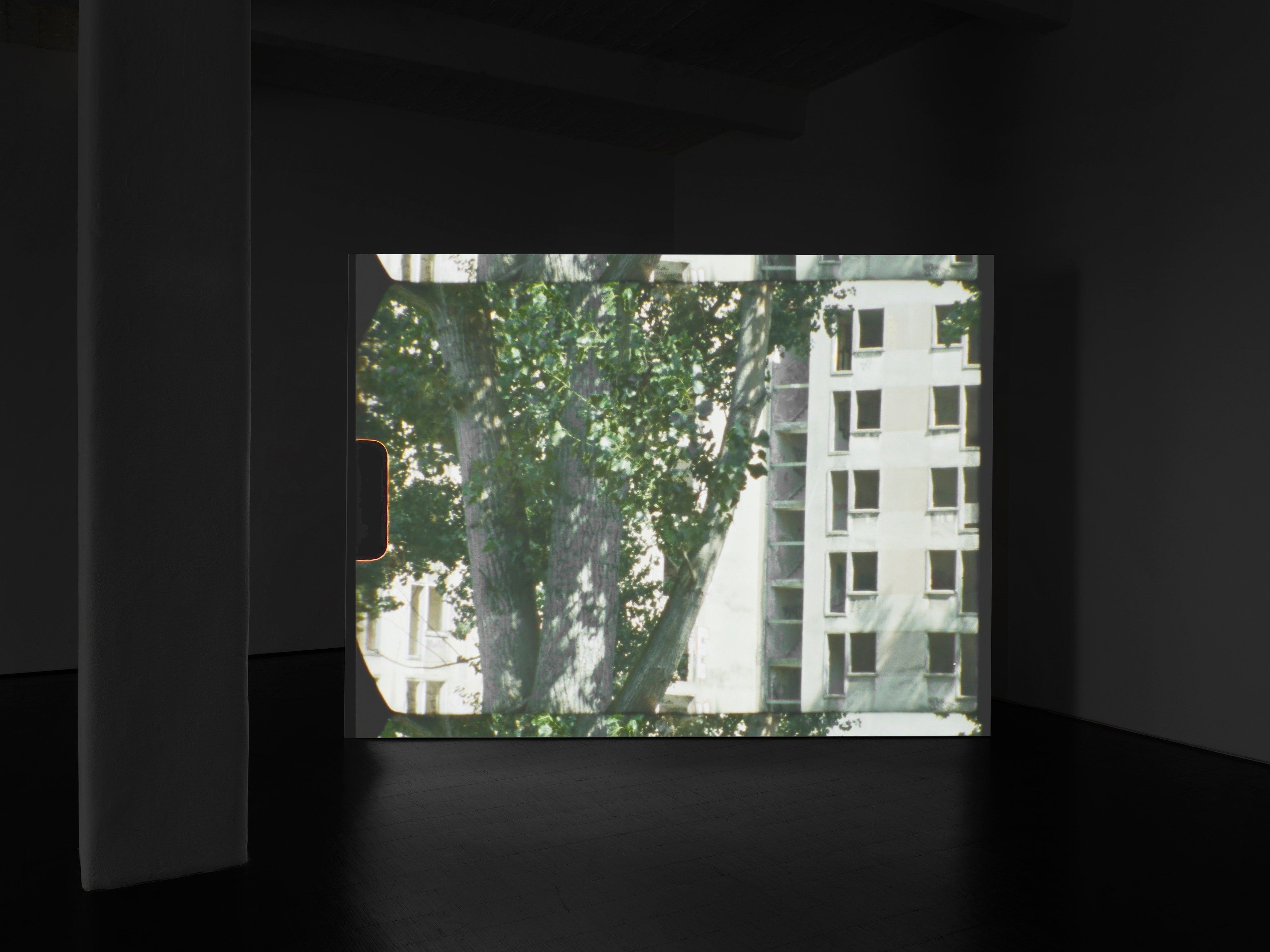 Shelf Life, Shelf Life at Trautwein Herleth, photo 5