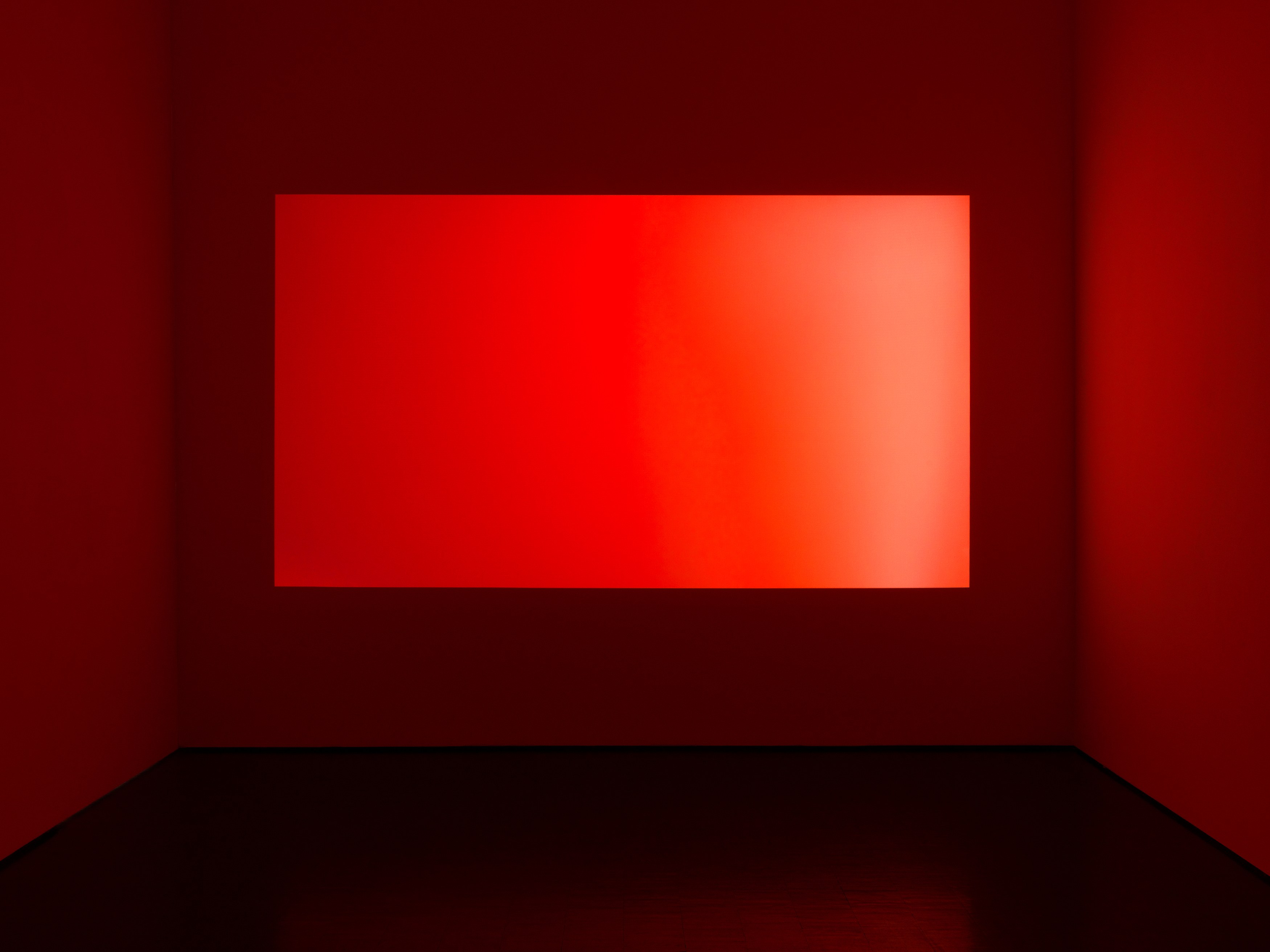 Shelf Life, Shelf Life at Trautwein Herleth, photo 9
