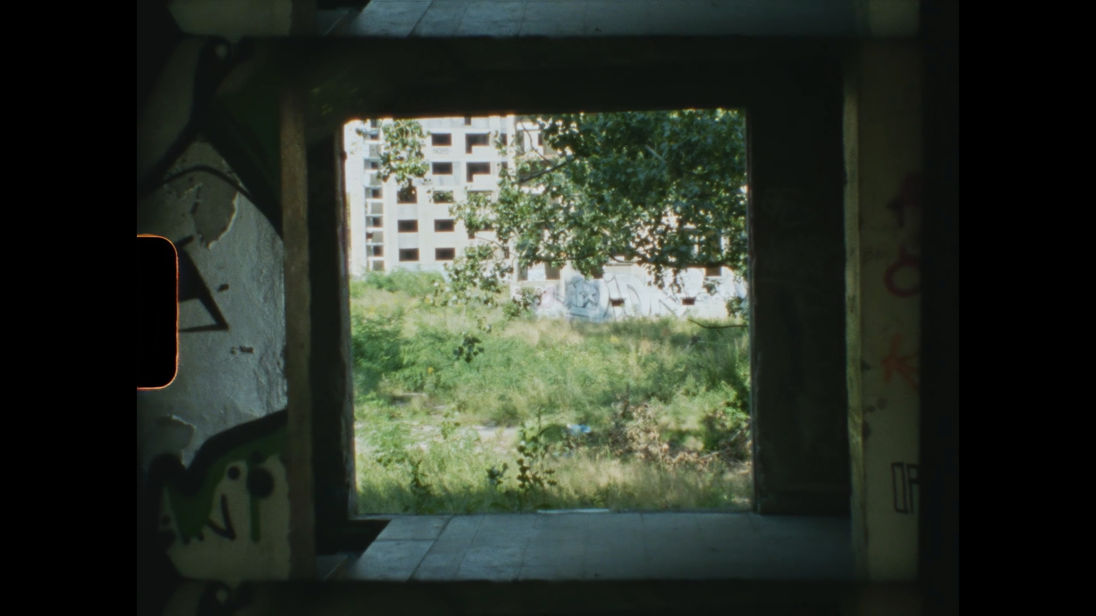 Shelf Life, Shelf Life at Trautwein Herleth, photo 17