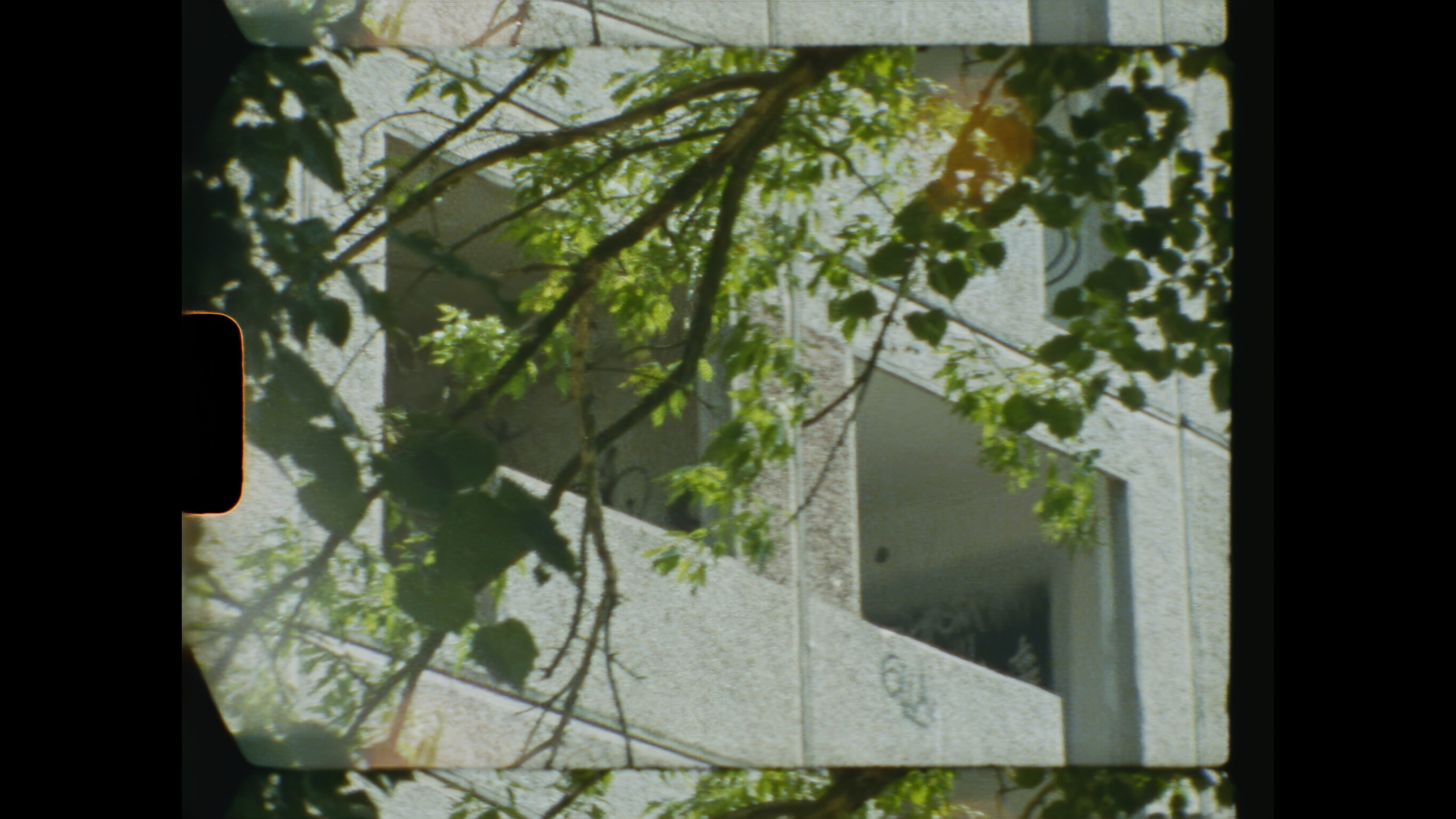 Shelf Life, Shelf Life at Trautwein Herleth, photo 18