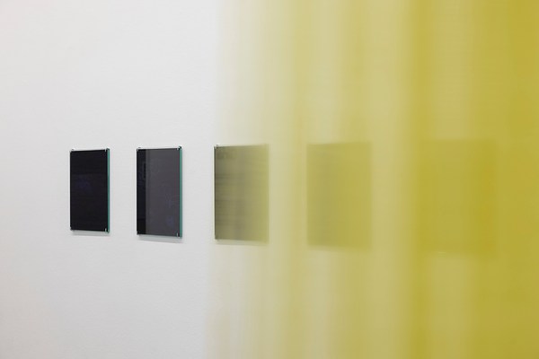 Image 11 of 17
