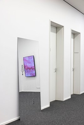 Image 14 of 17