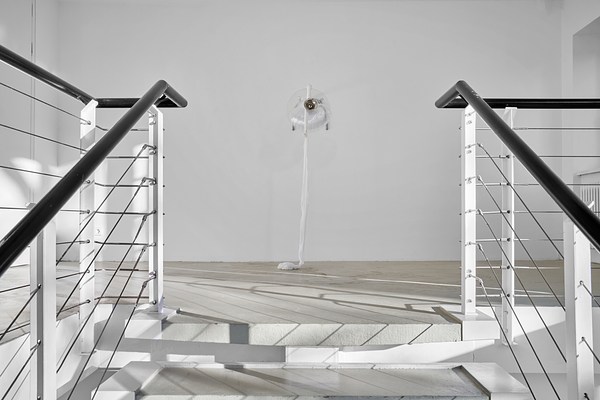 Image 7 of 21