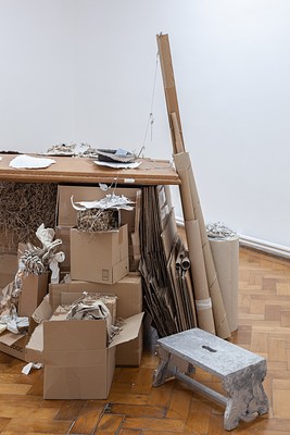 Image 12 of 21