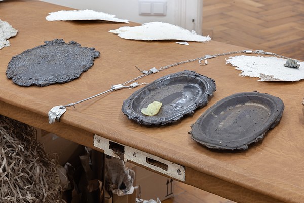 Image 10 of 21