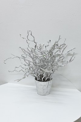 Image 21 of 21