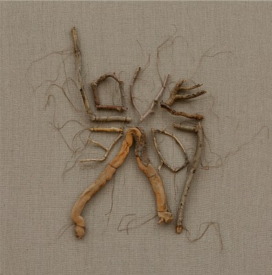 Image 40 of 58